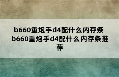 b660重炮手d4配什么内存条 b660重炮手d4配什么内存条推荐